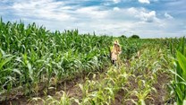 Technology can boost farming in Africa, but it can also threaten biodiversity - how to balance the two
