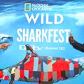 Sharkfest campaign emphasises local significance