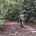 Source: Reuters. A view shows an ecoguard walking on a path in the Arboretum Raponda Walker during a press visit of this protected forest aera on the eve of the opening of the One Forest Summit in Libreville, Gabon, February 28, 2023.
