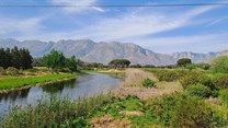 Image supplied: Credit: WC Government Dept Agriculture. Breede River Restoration. Woolworths and WWF’s Breede Catchment Water Stewardship programme has resulted in 200 million litres of water being released into the catchment on a yearly basis