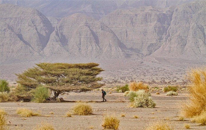Researcher Dr Mark Chynoweth, who headed the search for mammals during a biodiversity survey in Djibouti, in the rugged and remote Digri Plateau. Photo: Evan Buechley