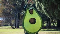 How passionate purpose can forge powerful connections: An analysis of 'Avocado Advocacy'