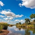 Source: freestock.ca via - Kruger National Park, South Africa, along the Sabie River.