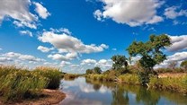 Source: freestock.ca via - Kruger National Park, South Africa, along the Sabie River.