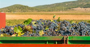 Tides are turning for SA's wine industry, despite challenges