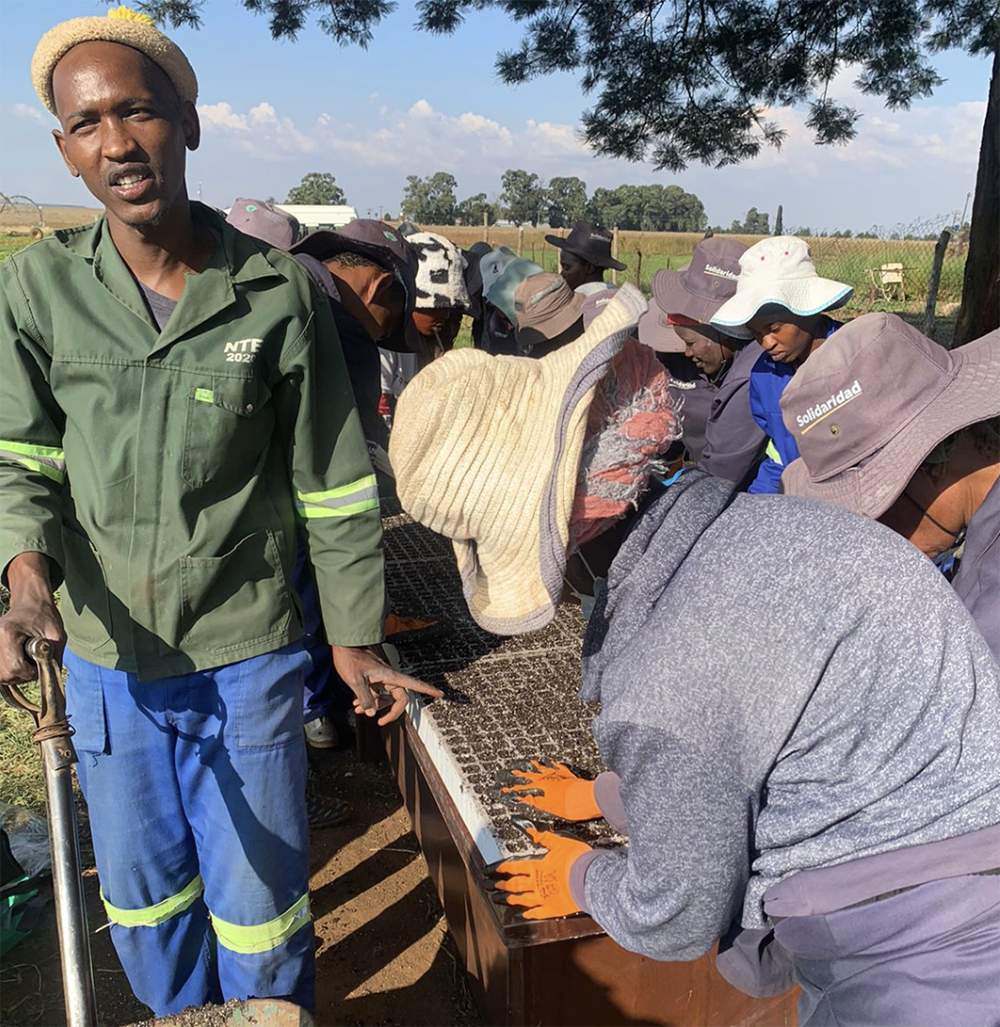 Acquiring work-ready farming skills (Gauteng)