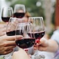 As travel rebounds businesses must support SA's local wine industry