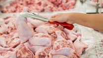 Chicken meat producers grapple with power crisis, bird flu, threatening shortage