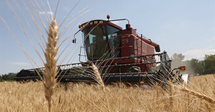 A combine harvests wheat in a field in Almaty Region, Kazakhstan July 14, 2021. Source: Reuters/Pavel Mikheyev/File Photo.