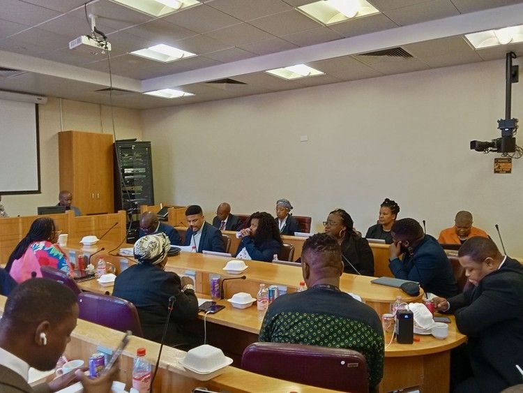 The National Student Financial Aid Scheme briefing Parliament’s portfolio committee for higher education in September. Archive photo: Qaqamba Falithenjwa