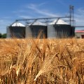 Standardisation key to insuring SA's growing grain storage industry in changing risk landscape
