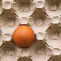Spar explores egg imports as bird flu hits supplies