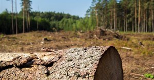Papering over the cracks: Why negative forestry perceptions are doing our planet a disservice