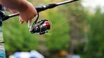Recreational fishing permit application now online