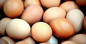 Navigating the egg shortage with a data-driven approach