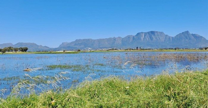 Sand mining company appeals against refusal of water licence in Philippi