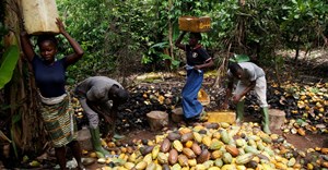 Ivory Coast in fresh stand-off with cocoa buyers over premium