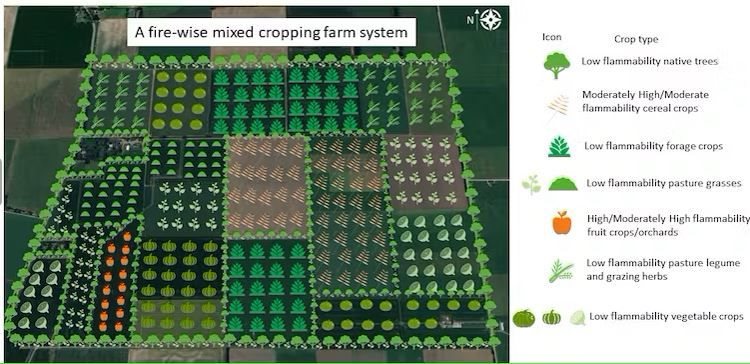 Source: This figure shows how a mixed-cropping system could be used to mitigate fire at a hypothetical farm on the Canterbury Plains. Author supplied,