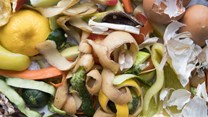 Logistics industry urged to play a role in addressing food waste