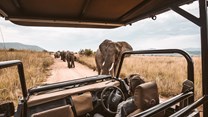 Africa could see $168bn tourism boost in next decade