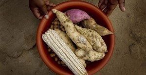 Food security: The battle of narratives and the role of private sector investment