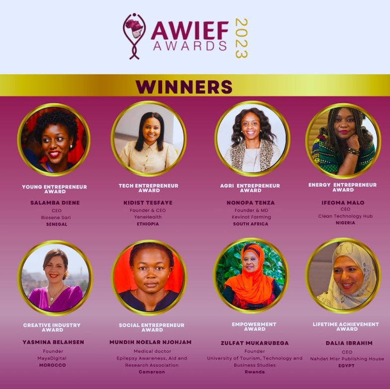 Winners of 2023 AWIEF Awards announced