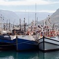Western Cape small-scale fishers finally get their rights