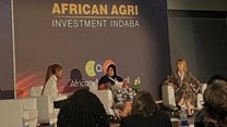 #AAII23: Discussing the importance of investing in women-led agribusinesses