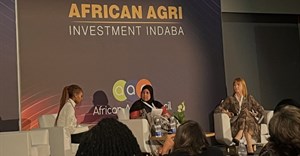 #AAII23: Discussing the importance of investing in women-led agribusinesses