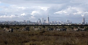 File photo: The Nairobi skyline is seen in the background as zebras walk through the Nairobi National Park, near Nairobi, Kenya, 3 December 2018. Reuters/Amir Cohen/File Photo