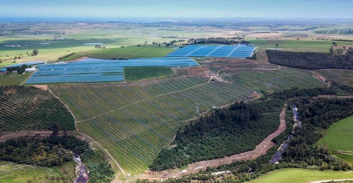 Source: Supplied. Blue Mountain Berries, a profitable and fully operational berry and avocado farm just outside of George that is being sold via sealed bid after being placed in business rescue.