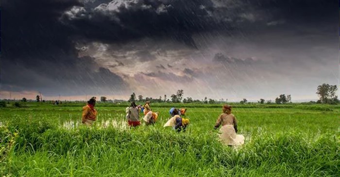 Farmers work in a field during monsoon rains in Madhya Pradesh, India. ,