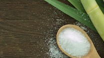 Source: © 123rf  The judgment on the Tongaat Hulett application to suspend its Sugar Industry Agreement payment obligations vindicates the South African Sugar Association says Andrew Russel, chairperson, SA Canegrower