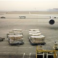 Global air cargo demand continues growth, up 3.8% in October 2023