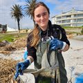 Youth environmentalist attempts world record for beach clean-up