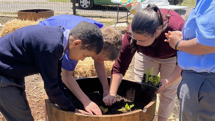 Sprightly Seed and Bel Porto School bring food security to Cape Town with community market garden