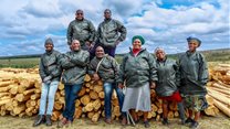 Sappi&#x2019;s forestry initiative scoops coveted CSI award