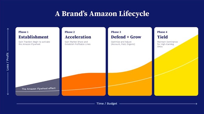 The Amazon brand lifecycle: Strategies for profitable growth