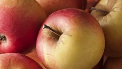 SA fruit farmers invest for survival amid load shedding woes