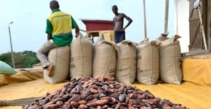 Ghana's cocoa board inks $800m loan, seeks quick drawdown