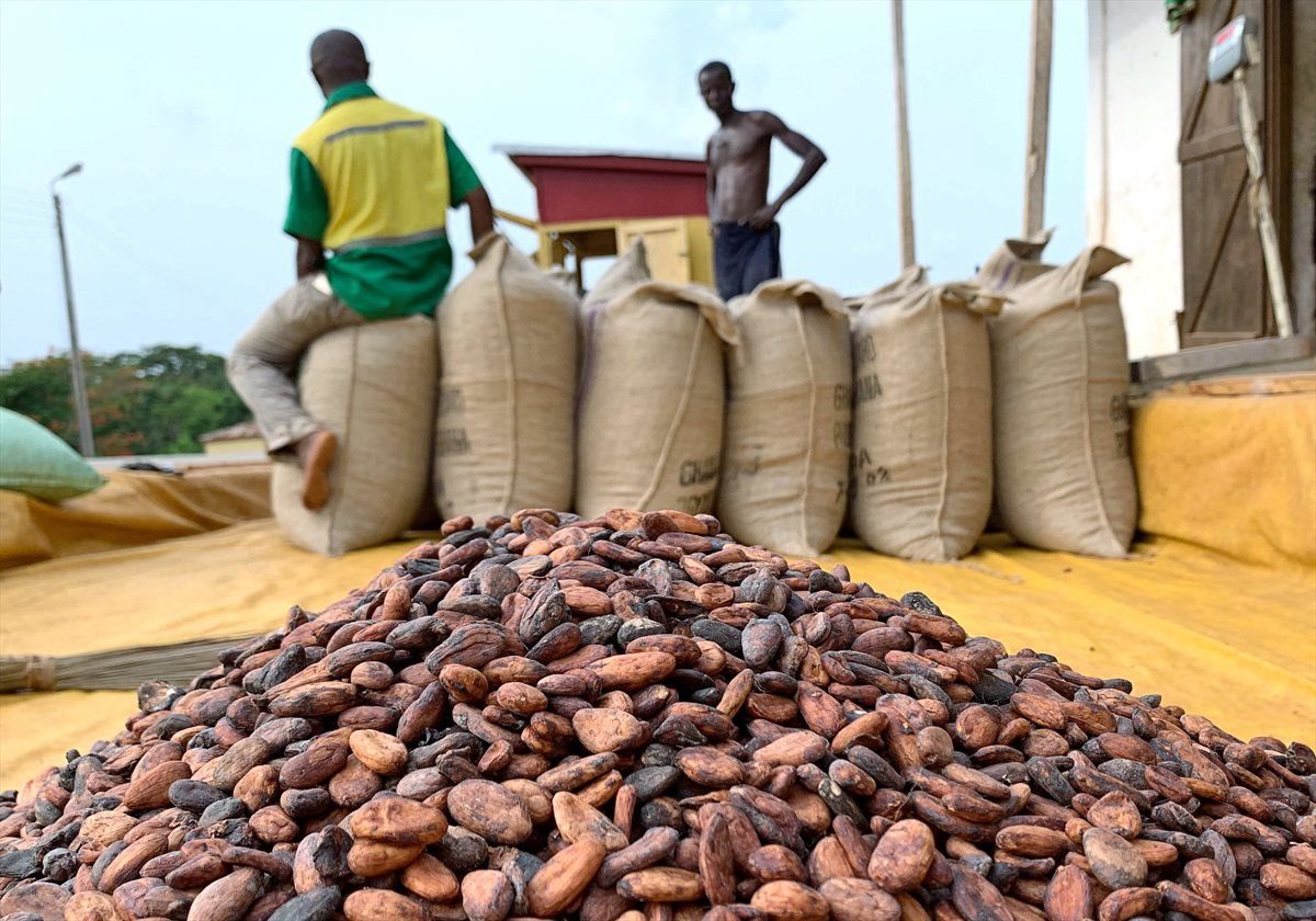 Cocoa beans are pictured next to a warehouse at the village of Atroni, near Sunyani, Ghana April 11, 2019. REUTERS/Ange Aboa/File Photo