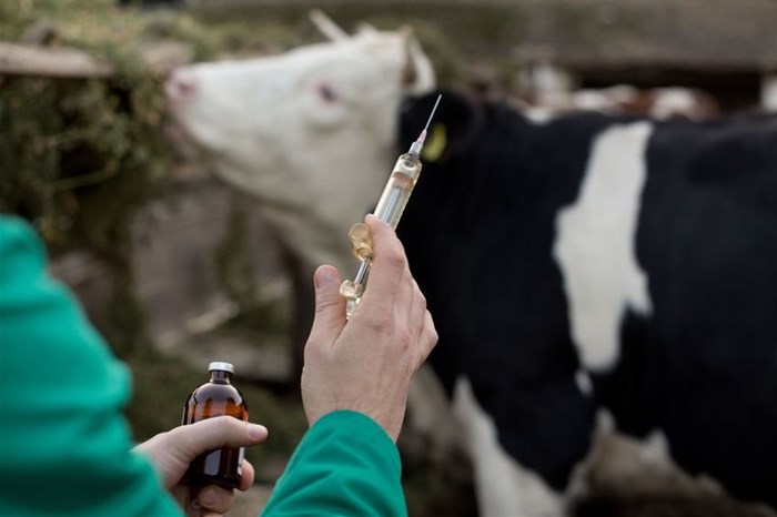 Vaccinating livestock against common diseases is a form of direct climate&#160;action