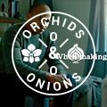 #OrchidsandOnions: City Lodge and TBWA's funny take on South African life
