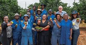 SAB and Moletele Community bears fruit in lime farming partnership