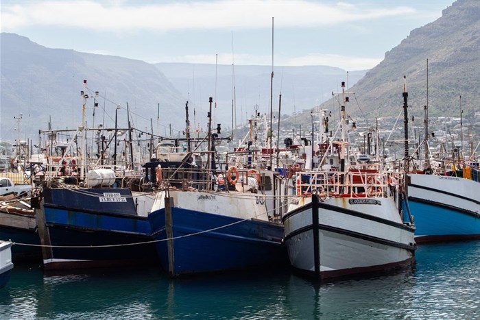 At least 12 fishing companies are taking the Department of Forestry, Fisheries and the Environment (DFFE) minister to court over the commercial fishing rights allocation process. Archive photo: Ashraf Hendricks / GroundUp