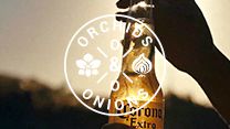 #OrchidsandOnions: Corona's stellar CSI project puts other brands to shame