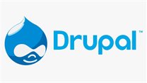 Rogerwilco&#x2019;s contribution to the Drupal community
