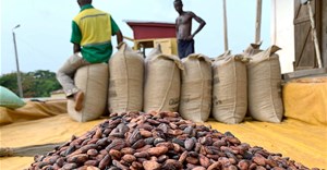 Ghana's Cocobod to use $200m World Bank loan for cocoa farm rehabilitation