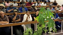 Eastern Cape farmers gain hemp cultivation skills in innovative training initiative