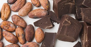 African cocoa plants run out of beans as global chocolate crisis deepens